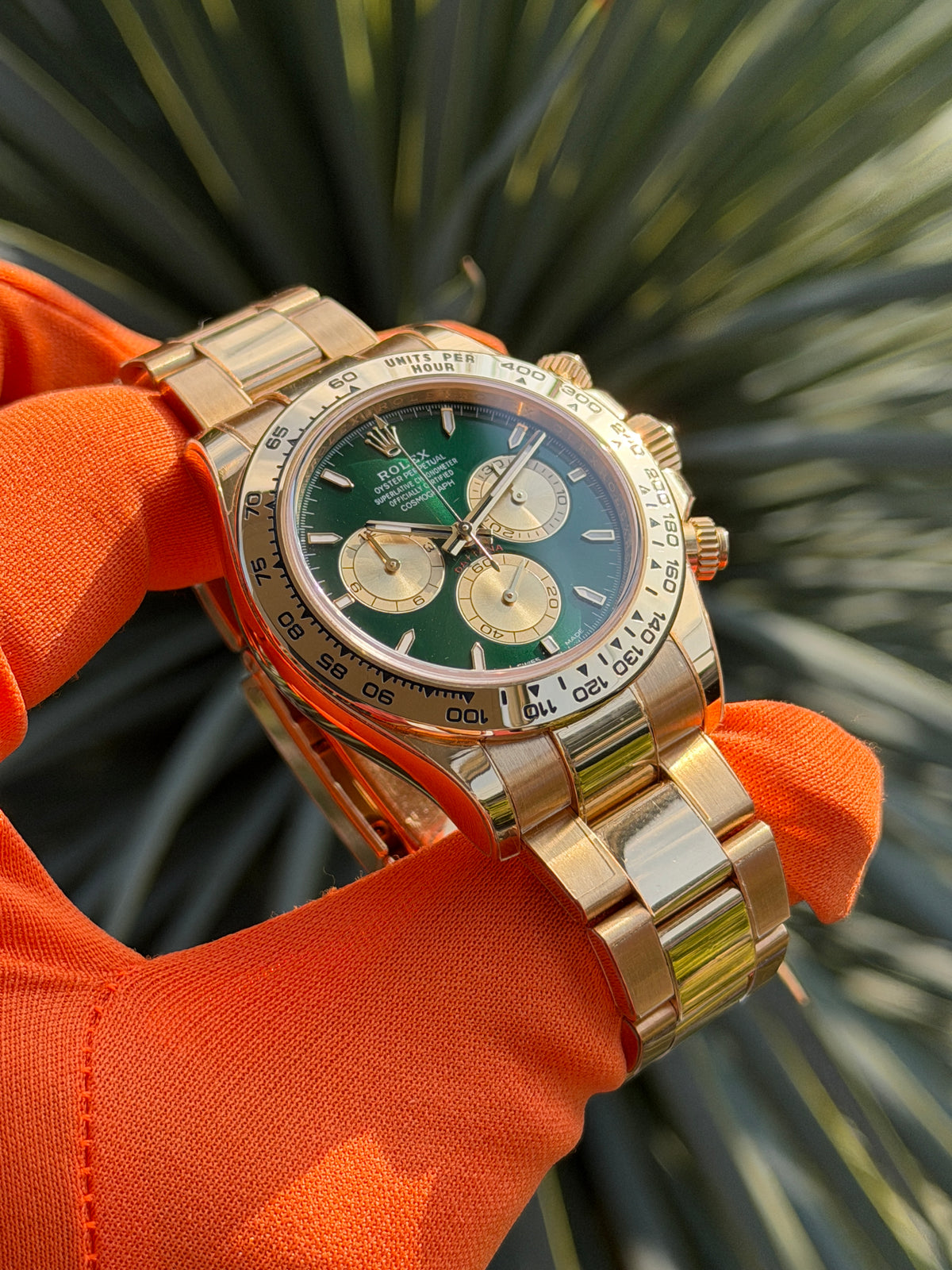 Rolex Daytona Green Dial - John Mayer II - After Market Stickers - Year 2025 Ref 126508