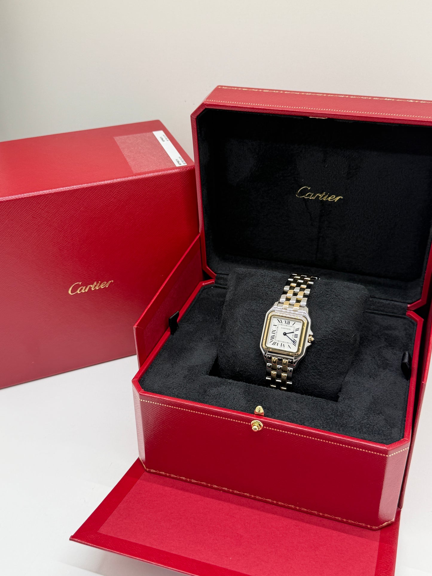 Cartier Panthère De Cartier W2pn0019 Medium - Steel & Gold New 2026
