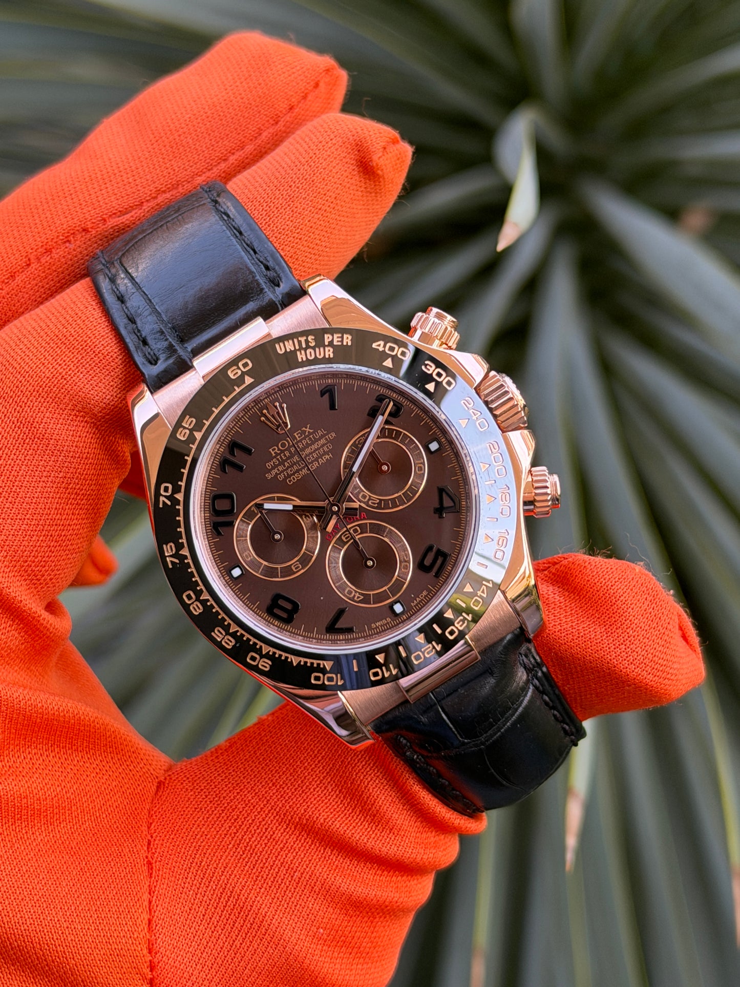 Rolex Daytona - Chocolate Arabic Dial - Ref 116515LN - Year 2011