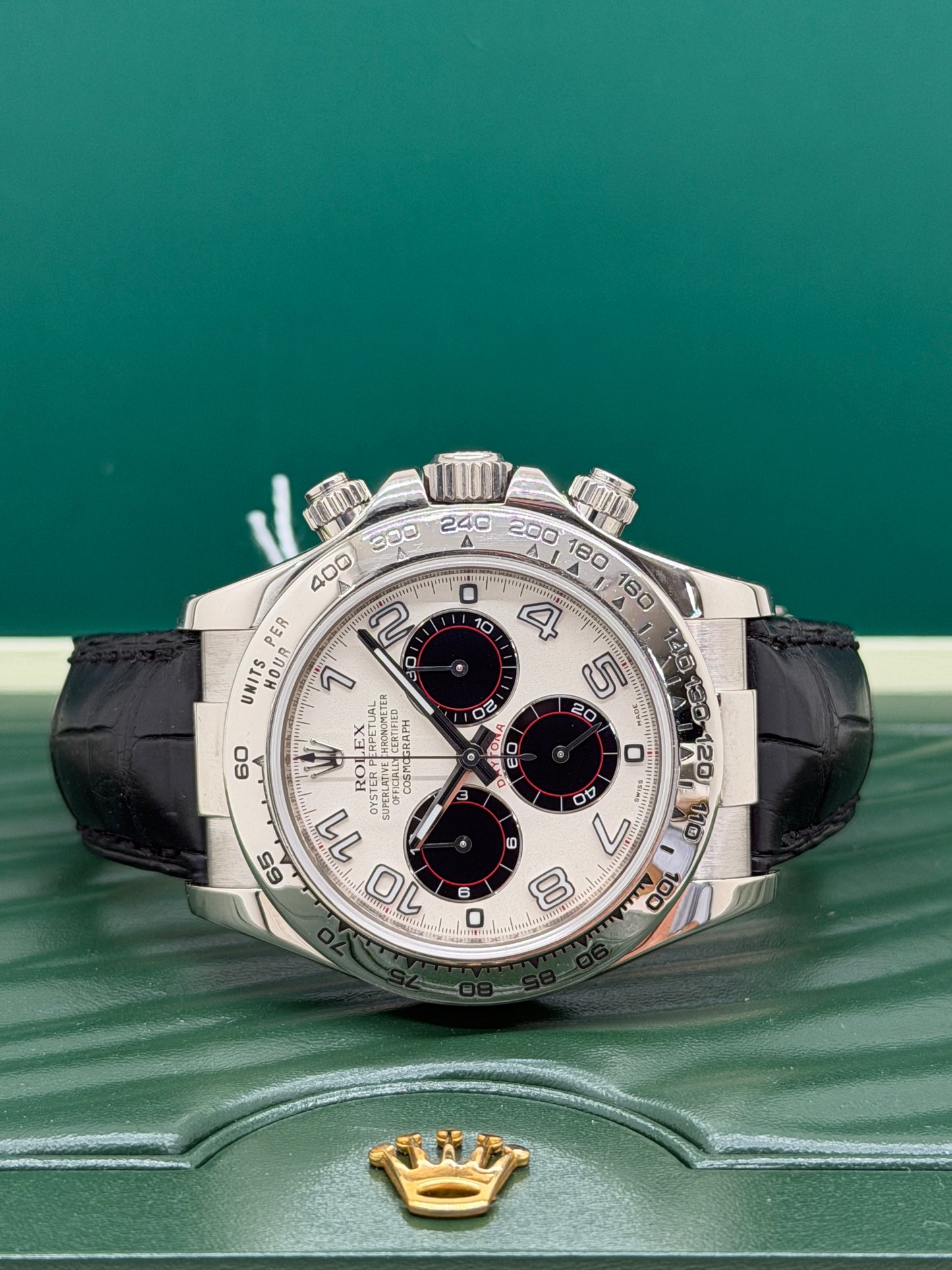 Rolex Daytona White Gold - Panda Racing Dial - Year 2015 Ref. 116519